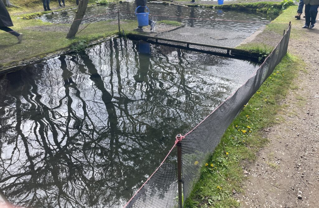白老さいとう釣堀園の写真