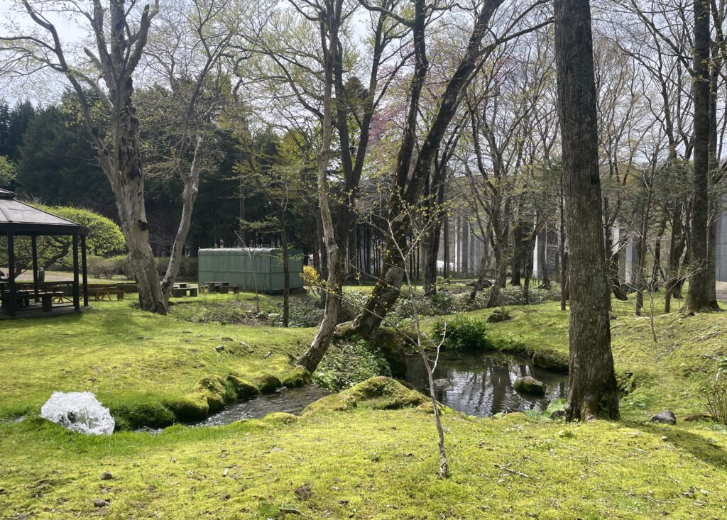 白老さいとう釣堀園の写真
