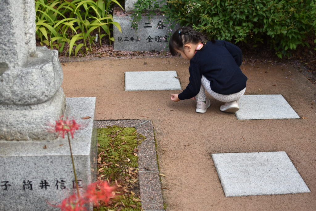 湯川寺の境内彼岸花