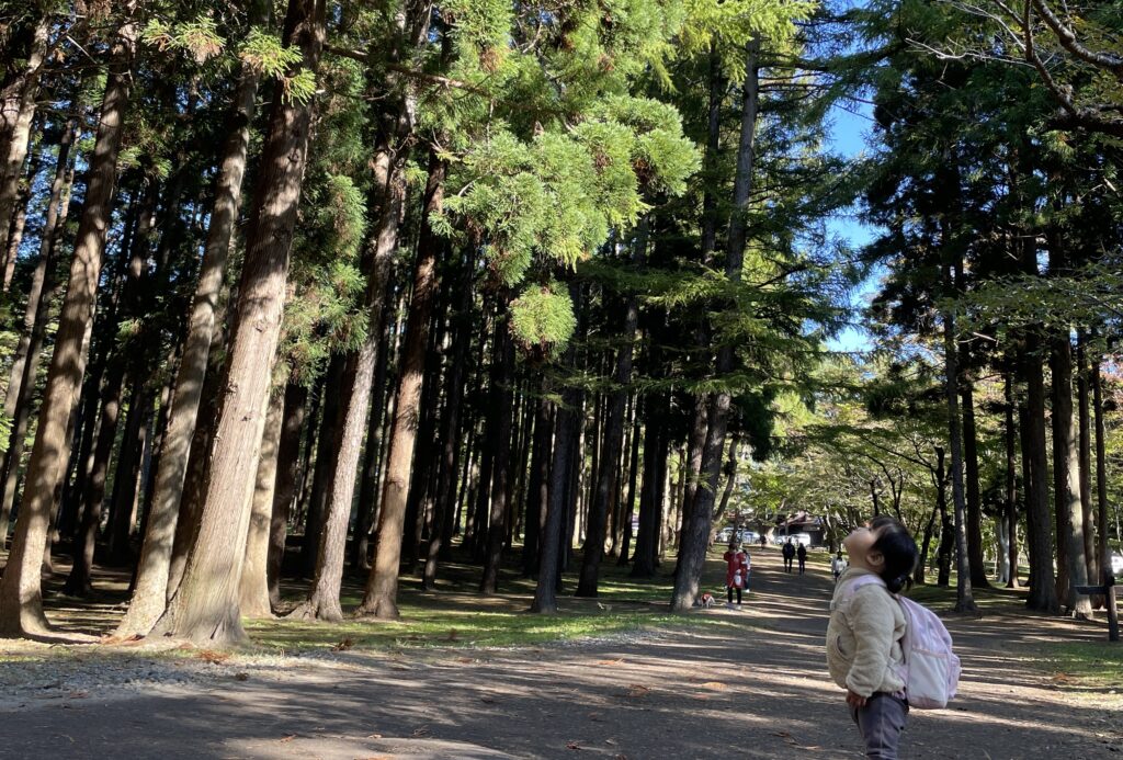 函館見晴公園の様子