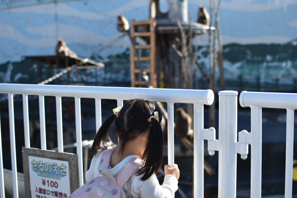 函館市熱帯植物園の写真
