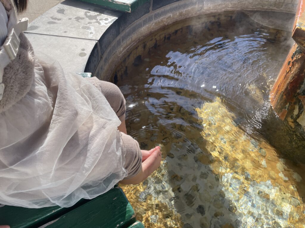 函館市熱帯植物園足湯の写真