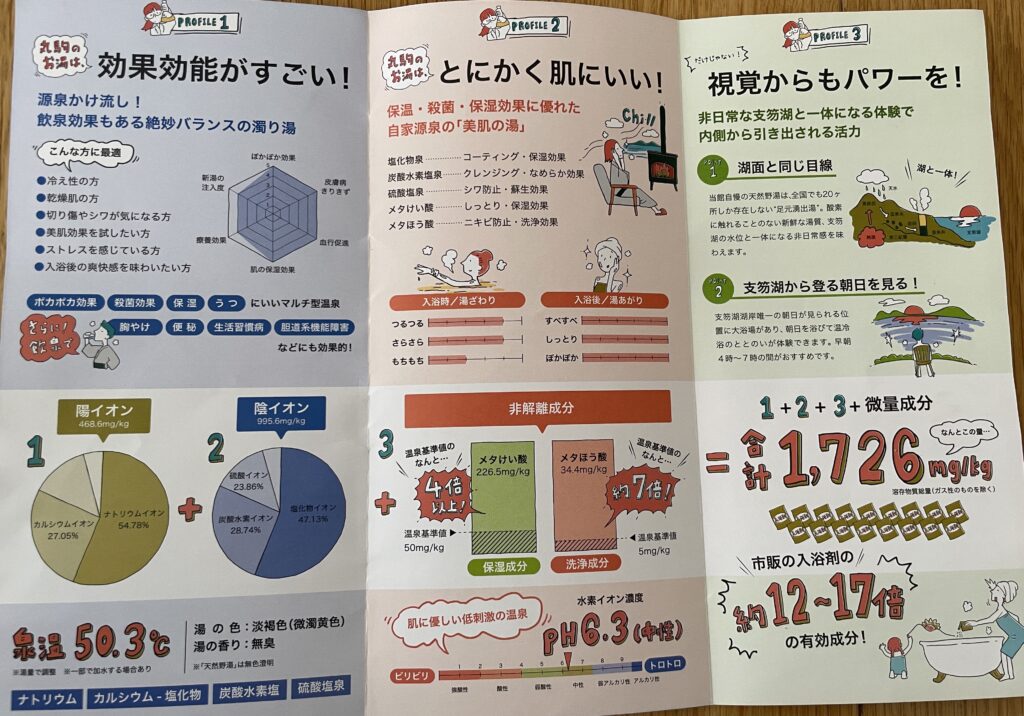 丸駒温泉成分分析